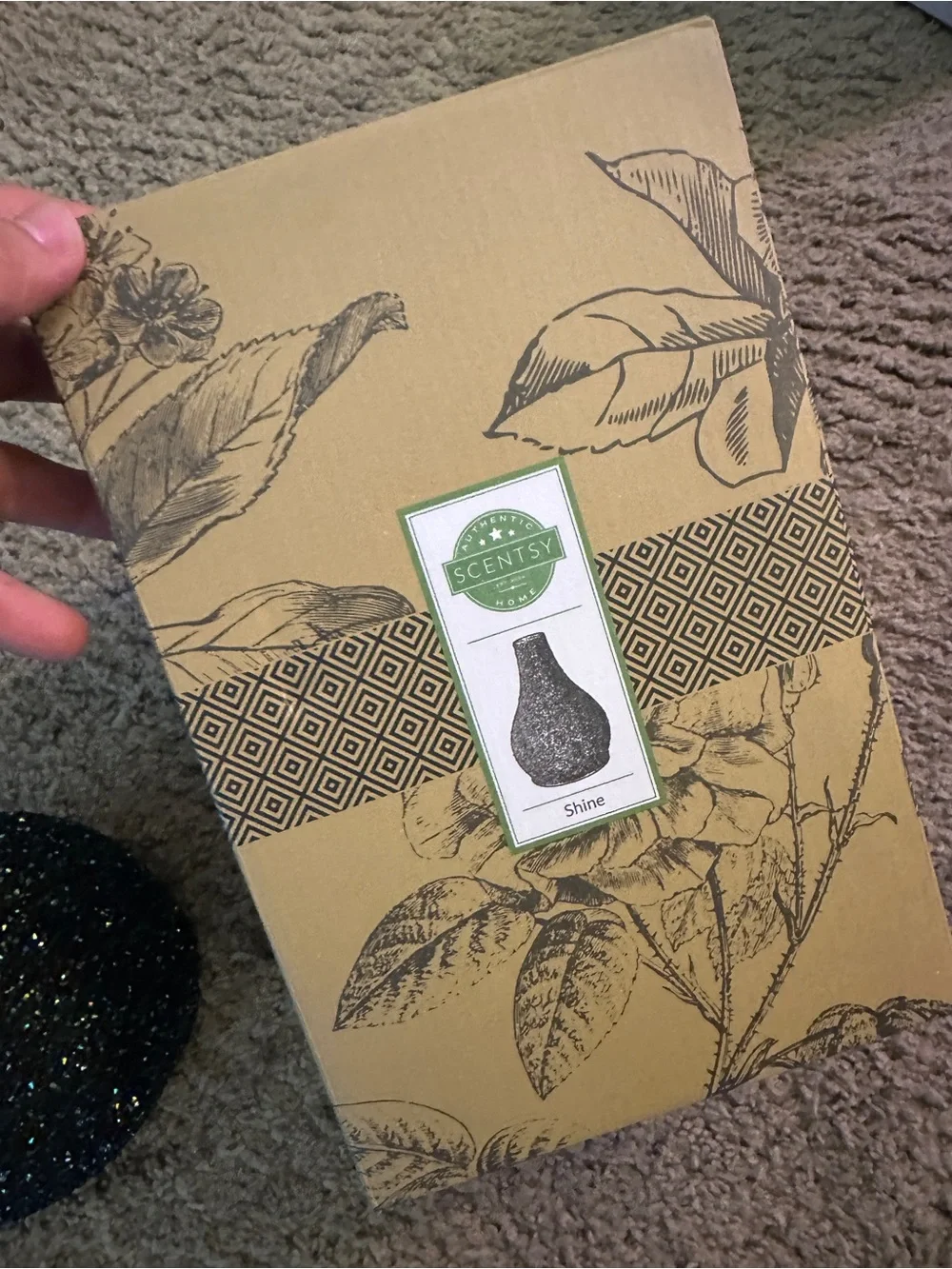 Shine diffuser shade - shade only.